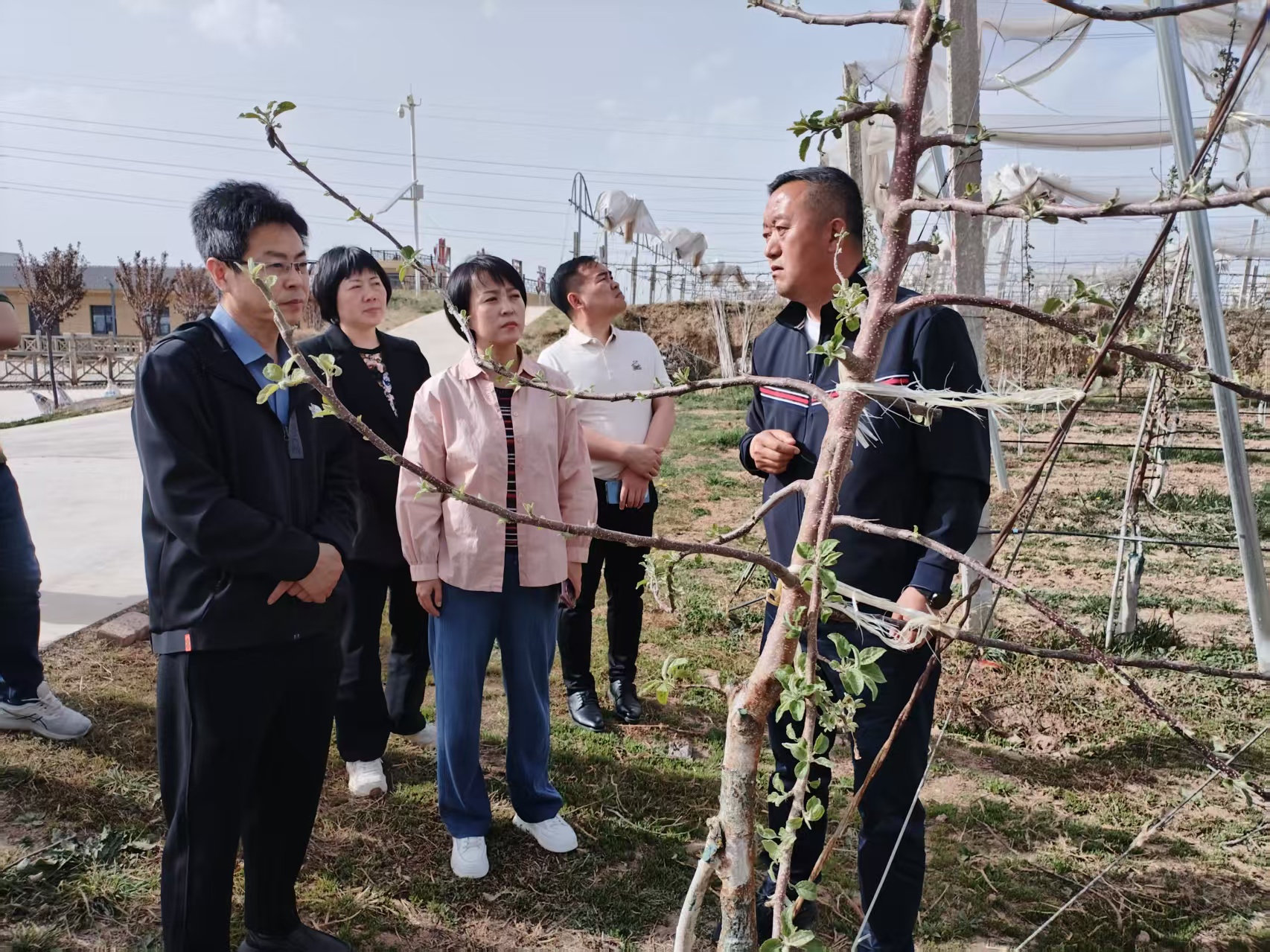 2025年4月16日銅川市供銷合作社王婧副主任與”鮮豐匯“、華東農(nóng)產(chǎn)品交易中心領(lǐng)導(dǎo)班子來我公司益民千畝蘋果示范園觀模視察